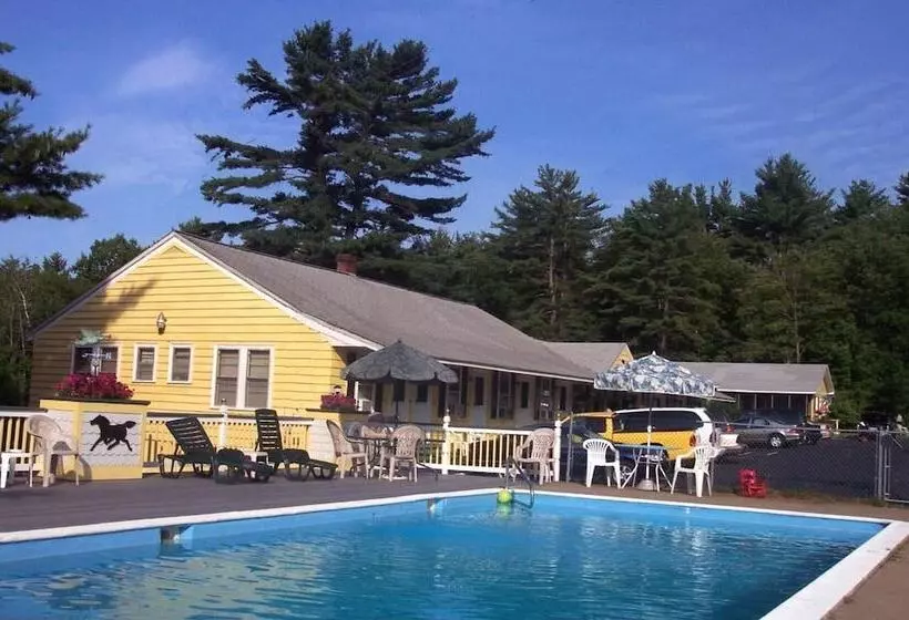 Lake Winnipesaukee Motel