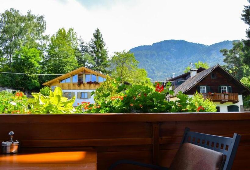 פנסיון Garni Alpin