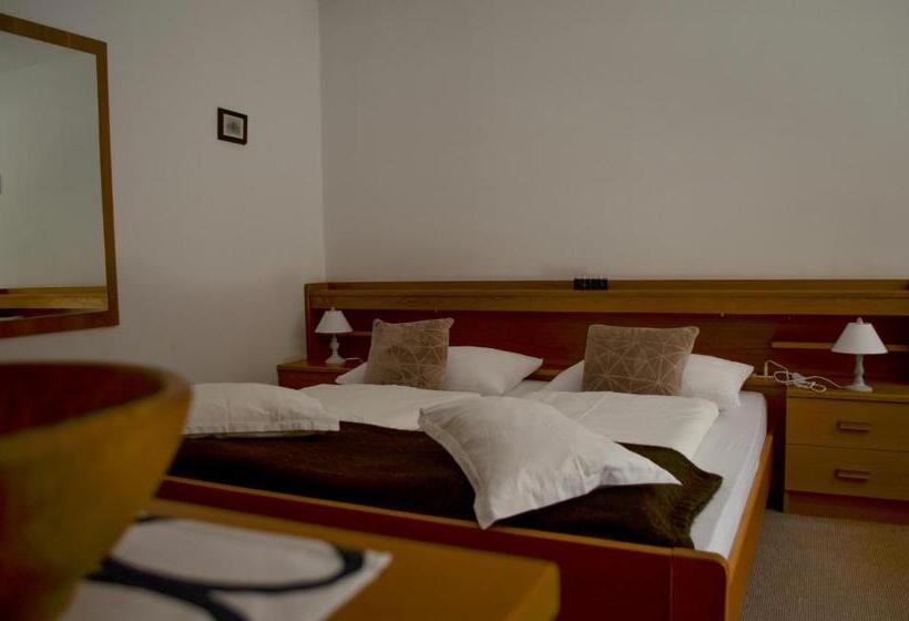 פנסיון Garni Alpin