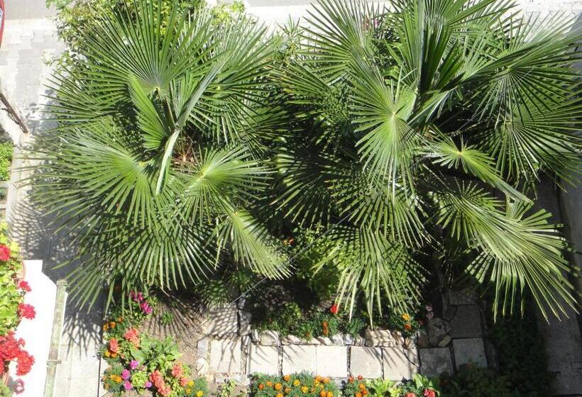 پانسیون Guest House Eos