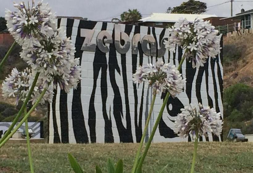 بنسيون Zebras Guesthouse