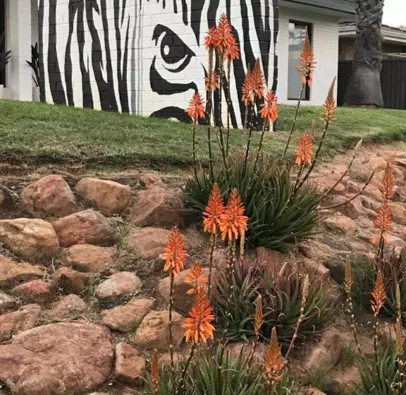 Majatalo Zebras Guesthouse