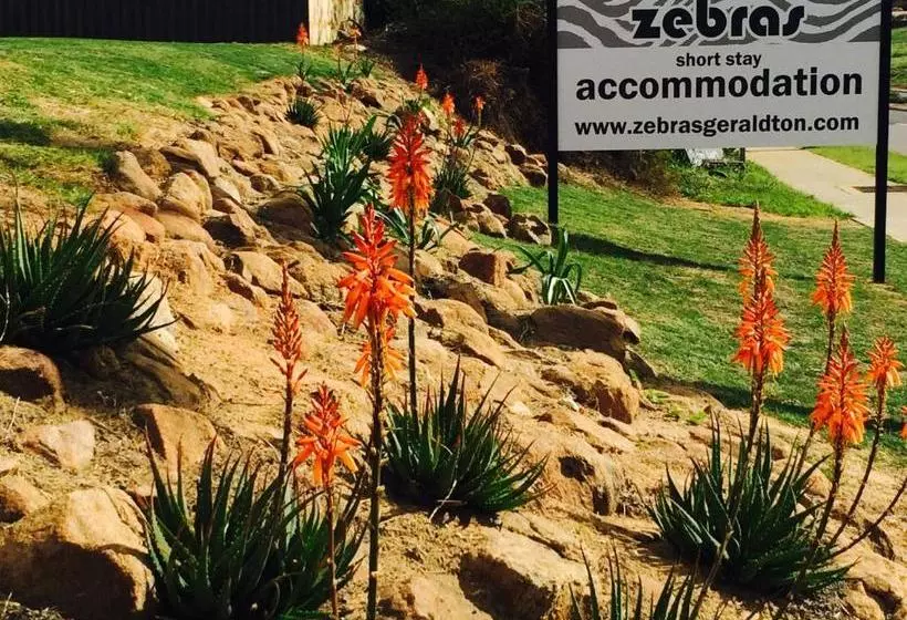 Majatalo Zebras Guesthouse