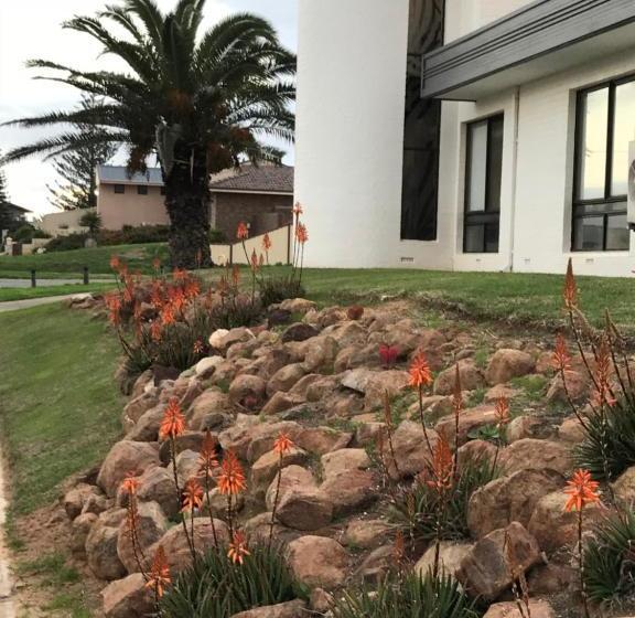 بنسيون Zebras Guesthouse