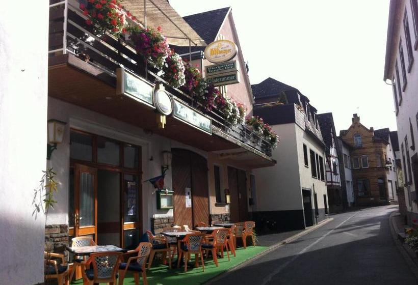 פנסיון Zur Burg Eltz