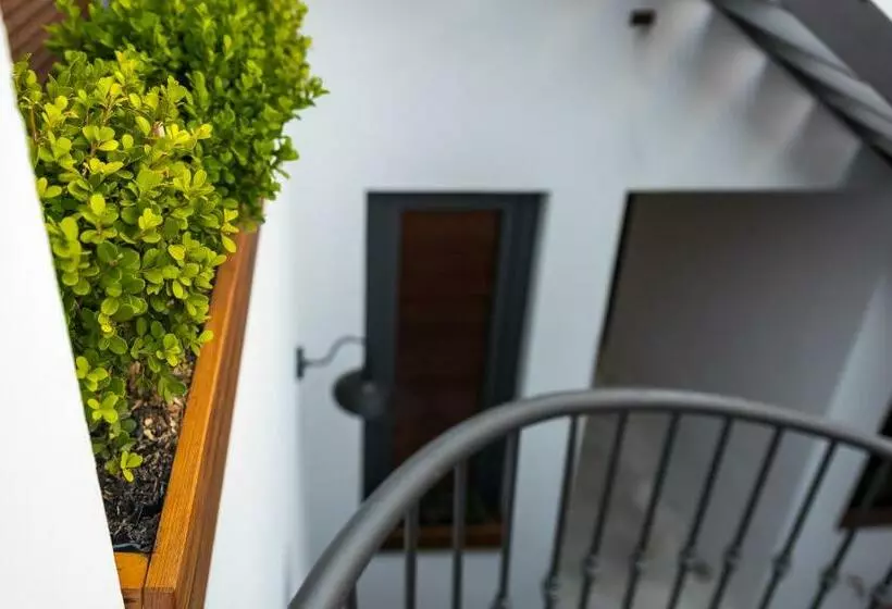 ユースホステル Posada El Viejo Consulado