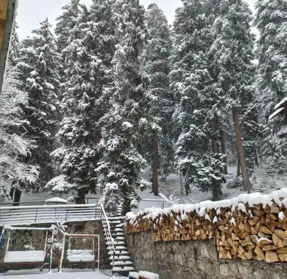 Boutique Hotel Shale