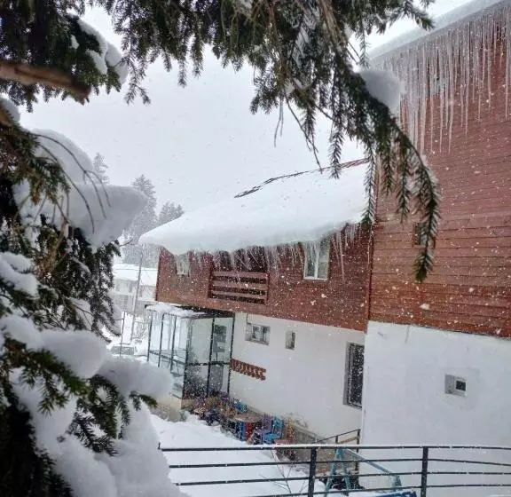 Boutique Hotel Shale