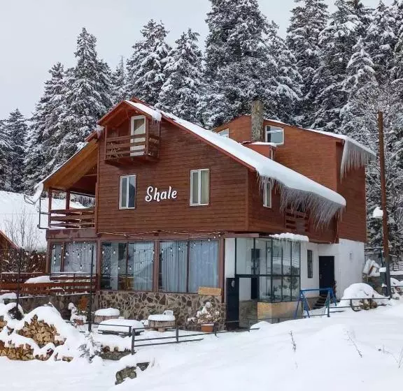 Boutique Hotel Shale