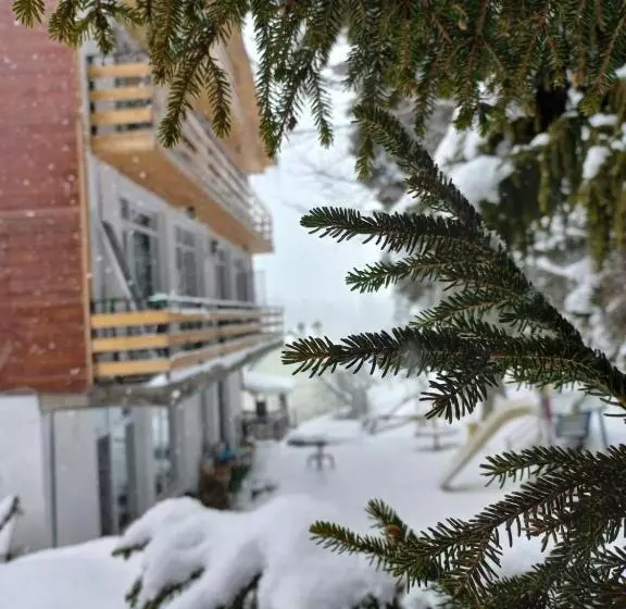 Boutique Hotel Shale