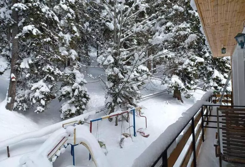 Boutique Hotel Shale