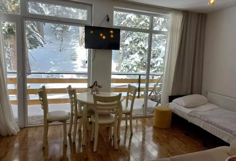 Boutique Hotel Shale