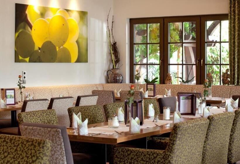 פנסיון Weinhotel Sonnenschein