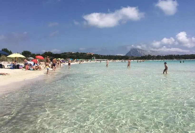 Majatalo Sa Murta Bianca Guesthouse