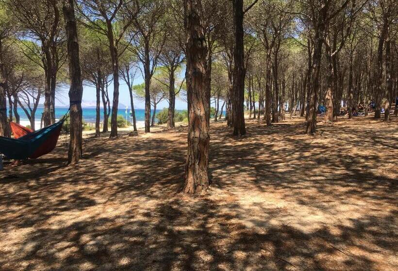 Pensjonat Sa Murta Bianca Guesthouse