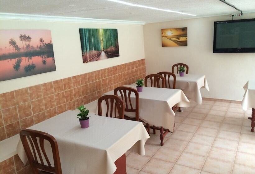 Apartamentos Amazonas