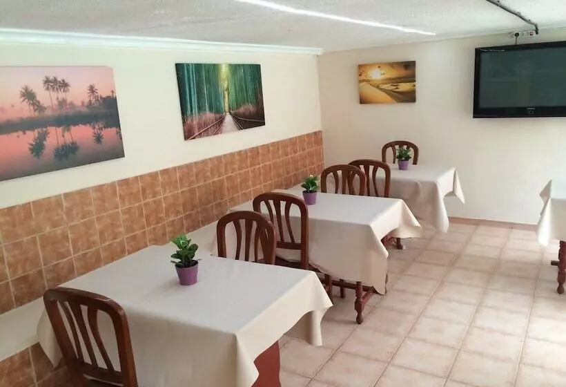 Apartamentos Amazonas