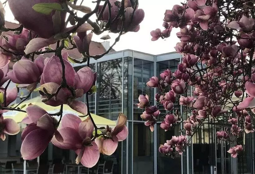 City Partner Park Hotel Pelikan