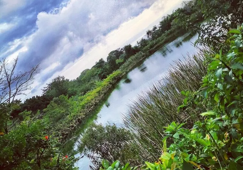 Отель El Establo Mountain