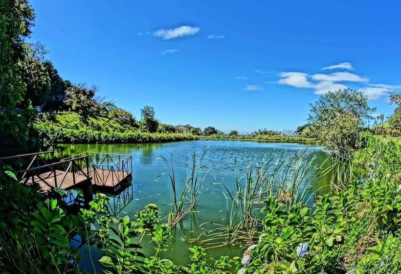 Отель El Establo Mountain