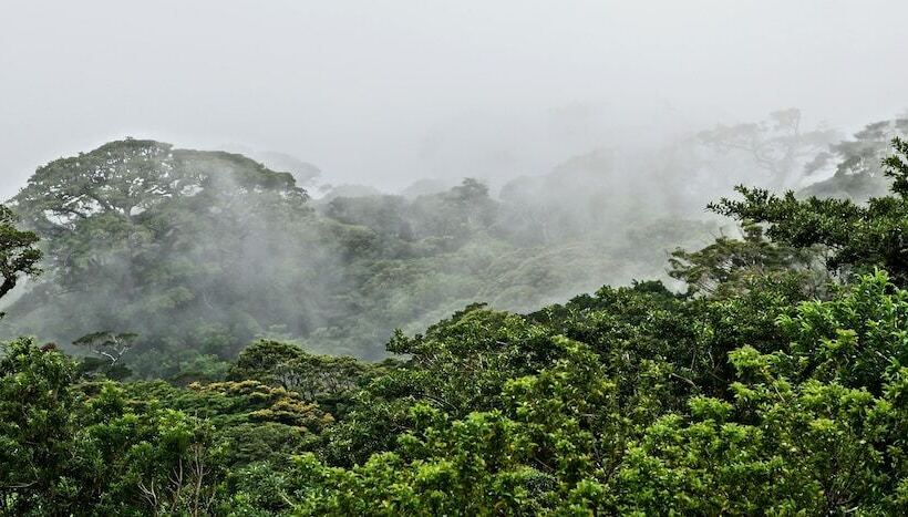 בית מלון כפרי El Establo Mountain