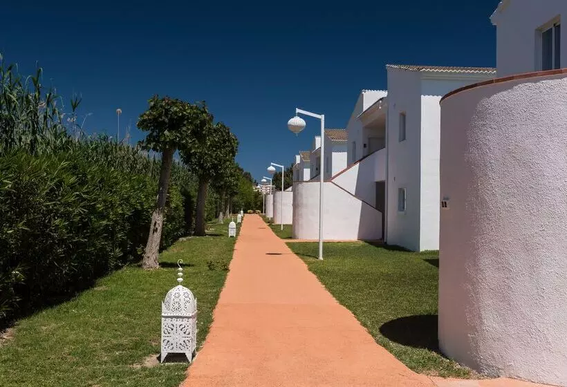 Garden Saladina - Adults Only