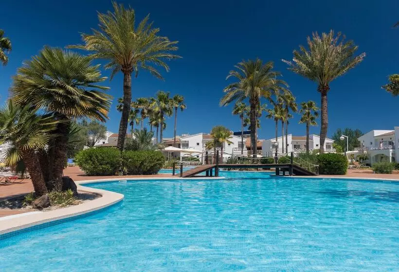 Garden Saladina - Adults Only