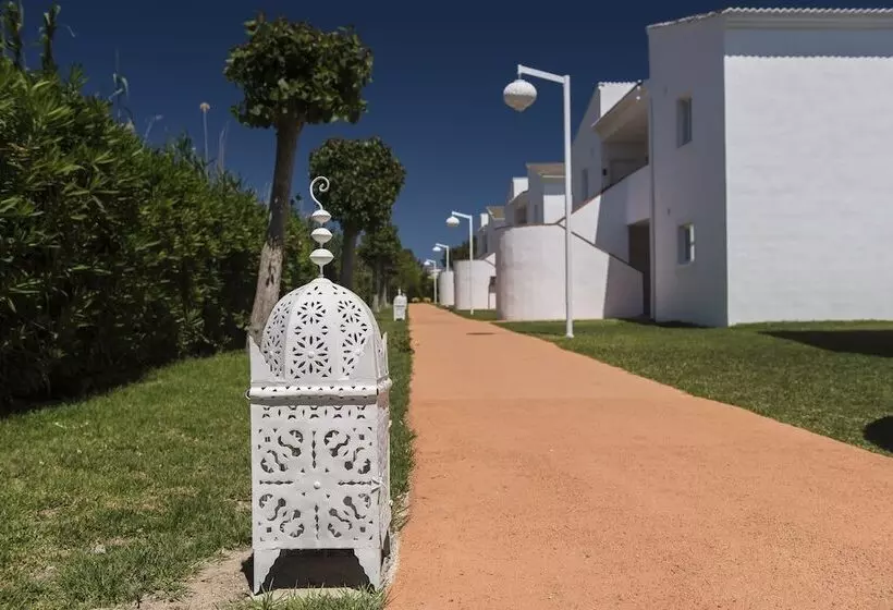 Garden Saladina - Adults Only