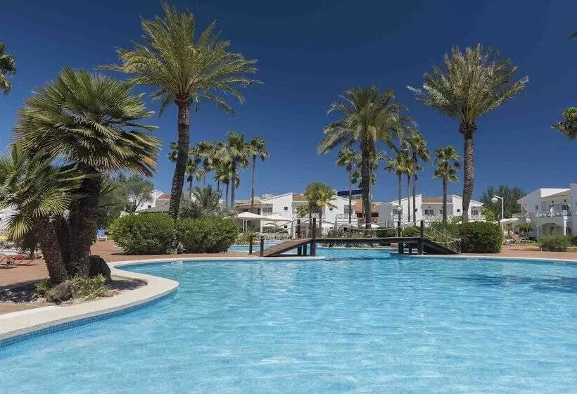 Garden Saladina - Adults Only