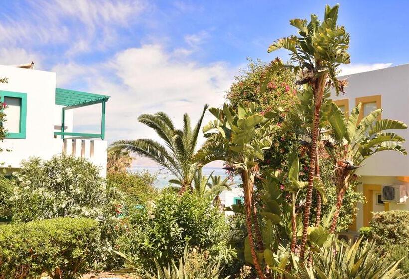 בית מלון כפרי Mastichari Bay