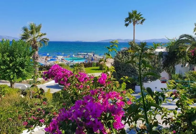 Отель Mastichari Bay