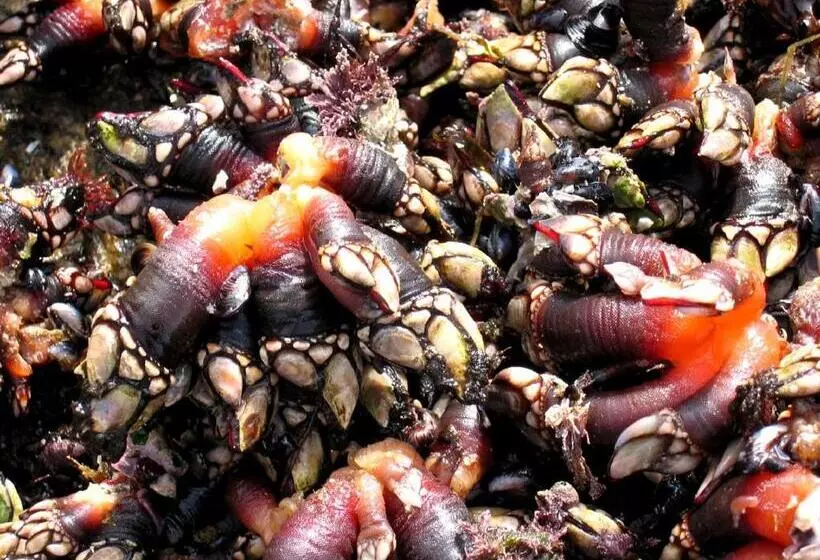 호텔 Pensión Teyma