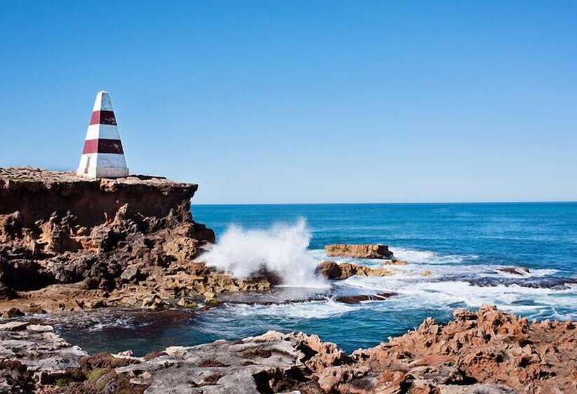 ホテル Robetown Motor Inn & Apartments