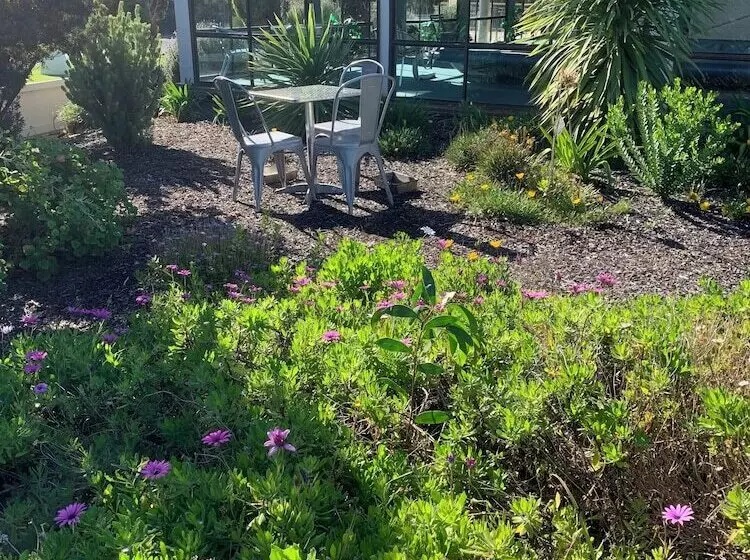 هتل Robetown Motor Inn & Apartments