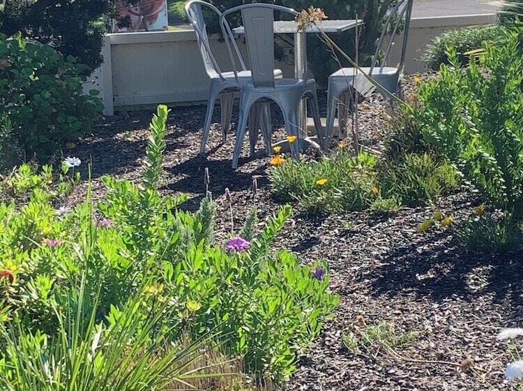 ホテル Robetown Motor Inn & Apartments