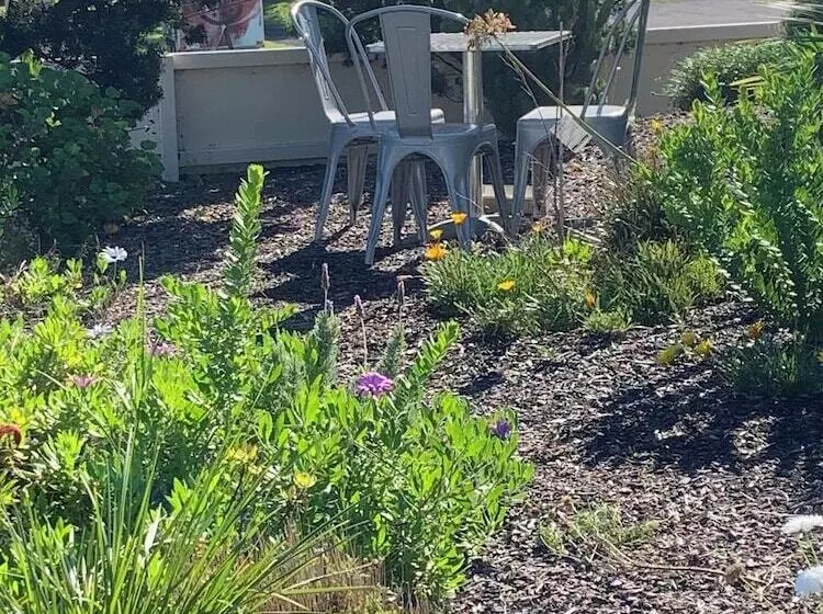 هتل Robetown Motor Inn & Apartments