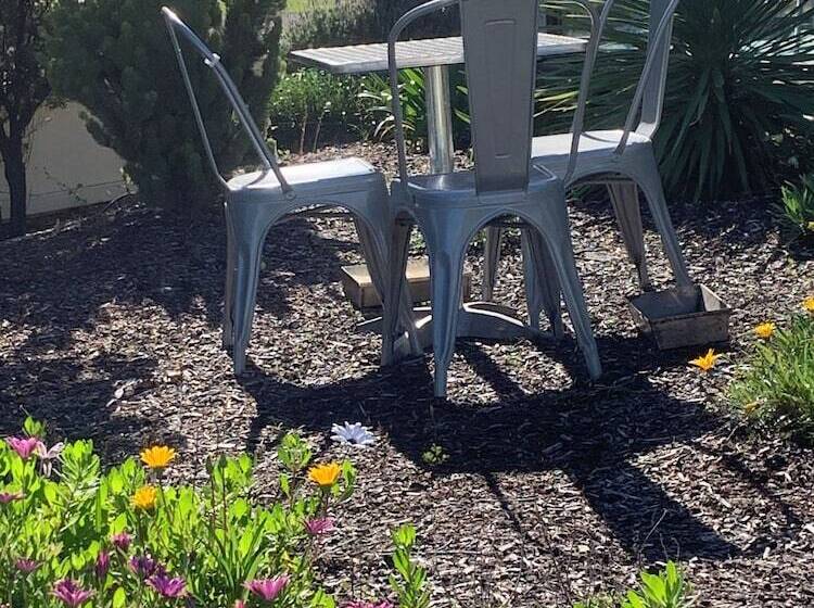 ホテル Robetown Motor Inn & Apartments