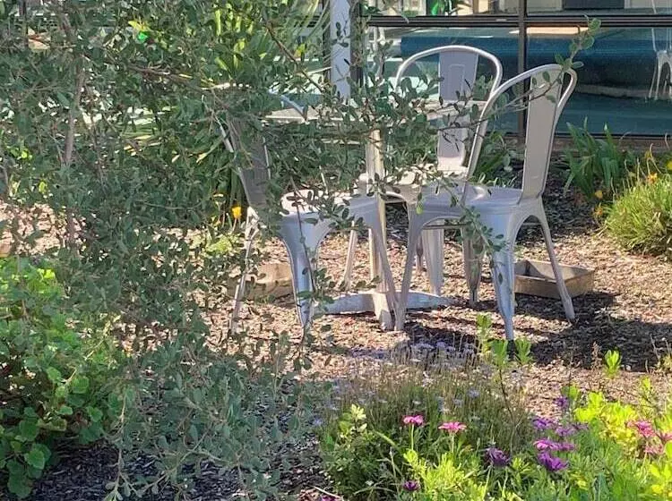 هتل Robetown Motor Inn & Apartments