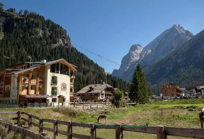 هتل Albergo Garni Edy