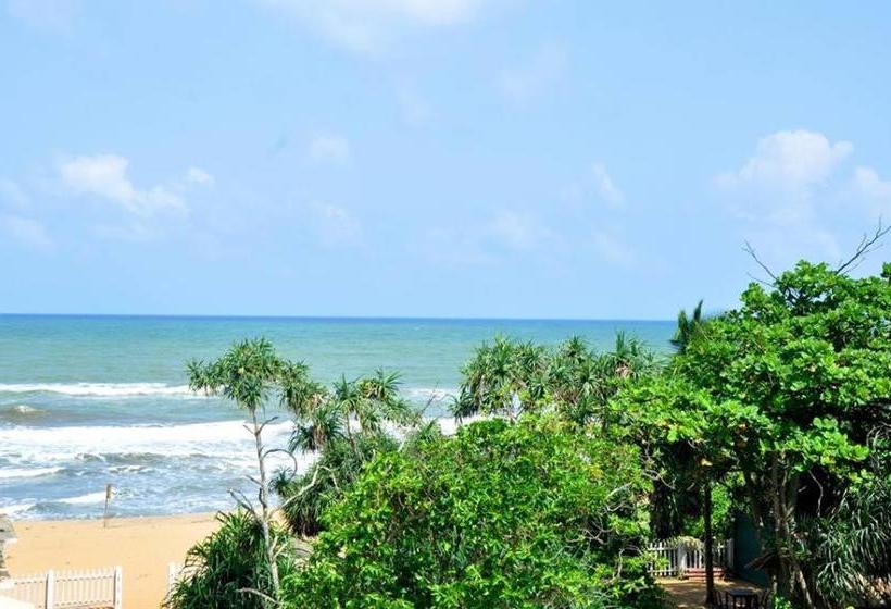 ホテル Green Shadows Beach