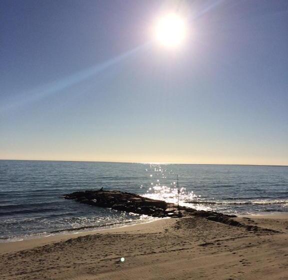 בית מלון כפרי Mambo