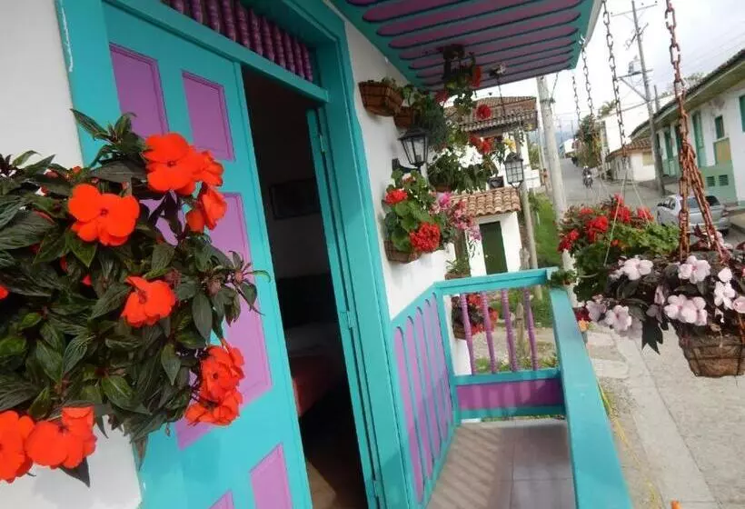 ペンション Hostal Johnnier