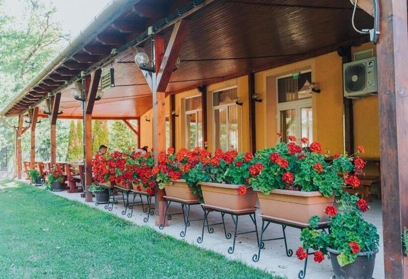 پانسیون Metropol