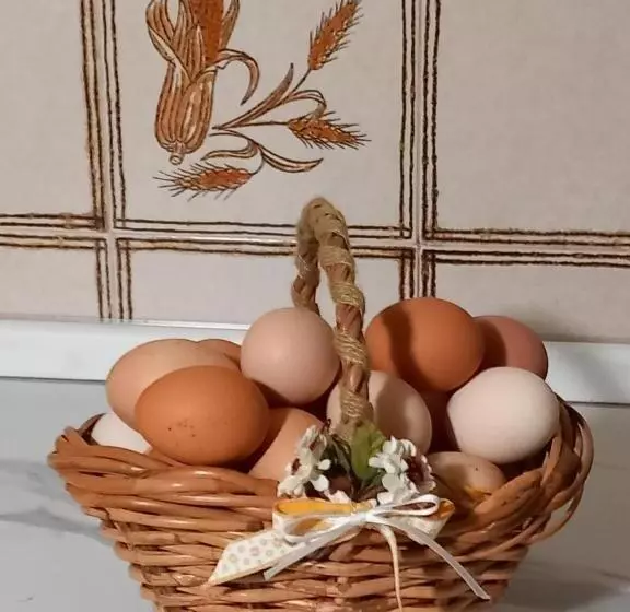 Hotelli Bed & Breakfast Castello Regina