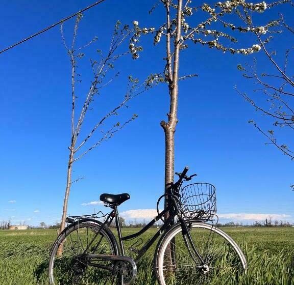 酒店 Il Mulino B&b