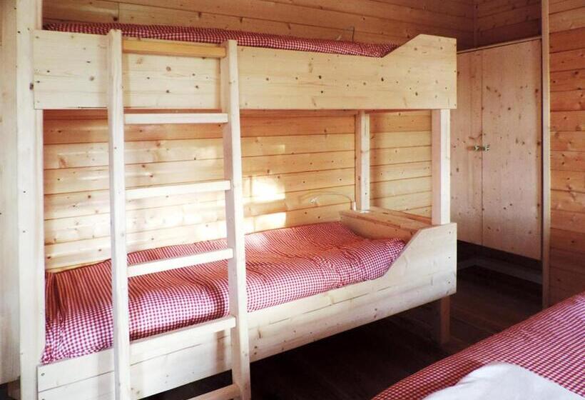 فندق Evolution Camp