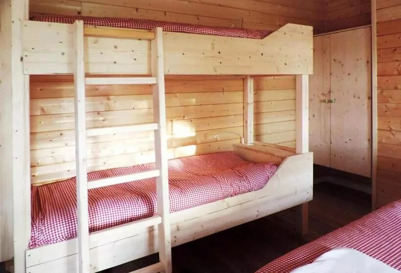 Hotelli Evolution Camp