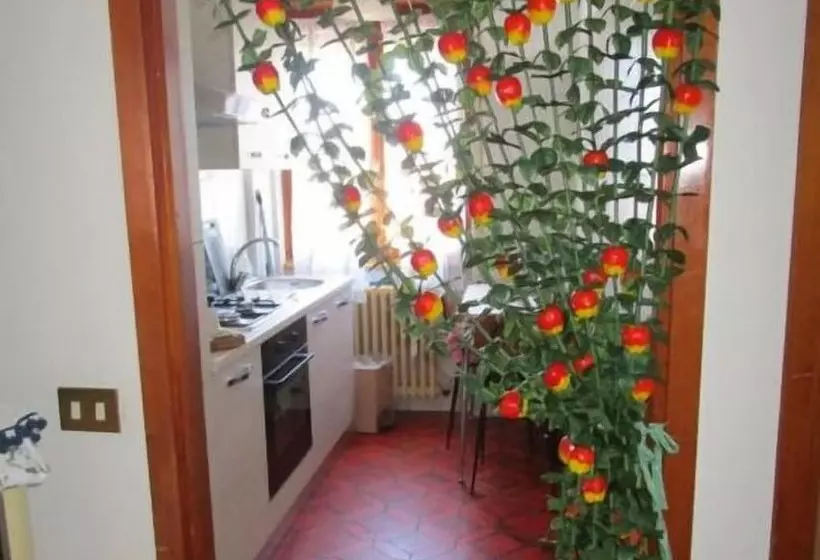 Hotelli Rainbow House