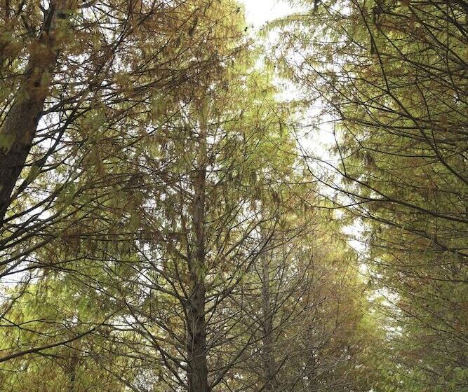 هتل Urarakana B&b