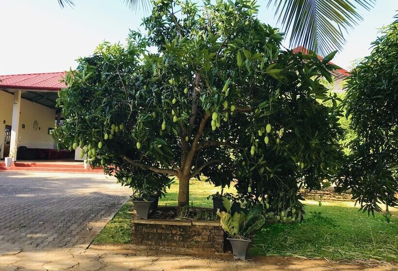 Rivonway Hotel Polonnaruwa